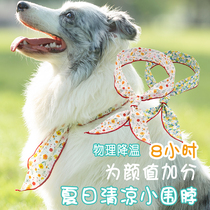 Mid-sized dog pet pooch Cooling Circlesial Summer Summer Cool scarf Anti-heatstroke Cool and cool to summer outdoor