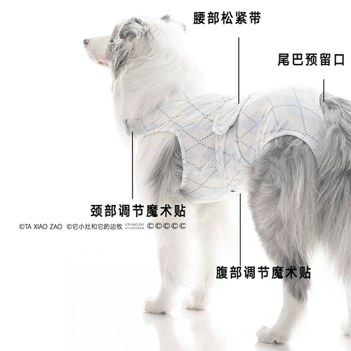 Менструальные трусы для собак с прикрытием живота для сук во время менструации, менструальные трусы для собак среднего размера, послеоперационная одежда для крупных собак, стерилизационная одежда и гигиенические трусы.