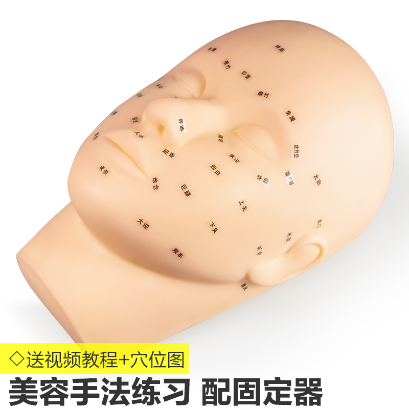 Beauty salon beauty head model practice face wash massage acupoint model head dummy head model doll teaching head bald