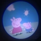 D49 Pig Page [2 света]