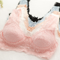 Summer Sexy Full Lace No Steel Ring Coalesco a beauty back bra hood with cups to hit bottom female lingerie thin and large size