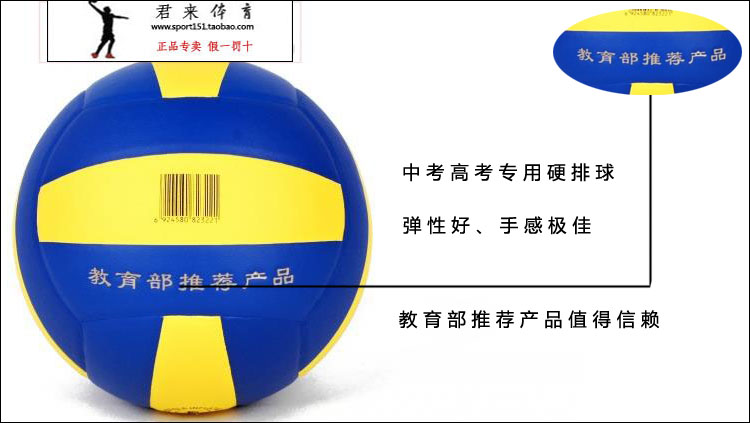 Ballon de volley - Ref 2016314 Image 8
