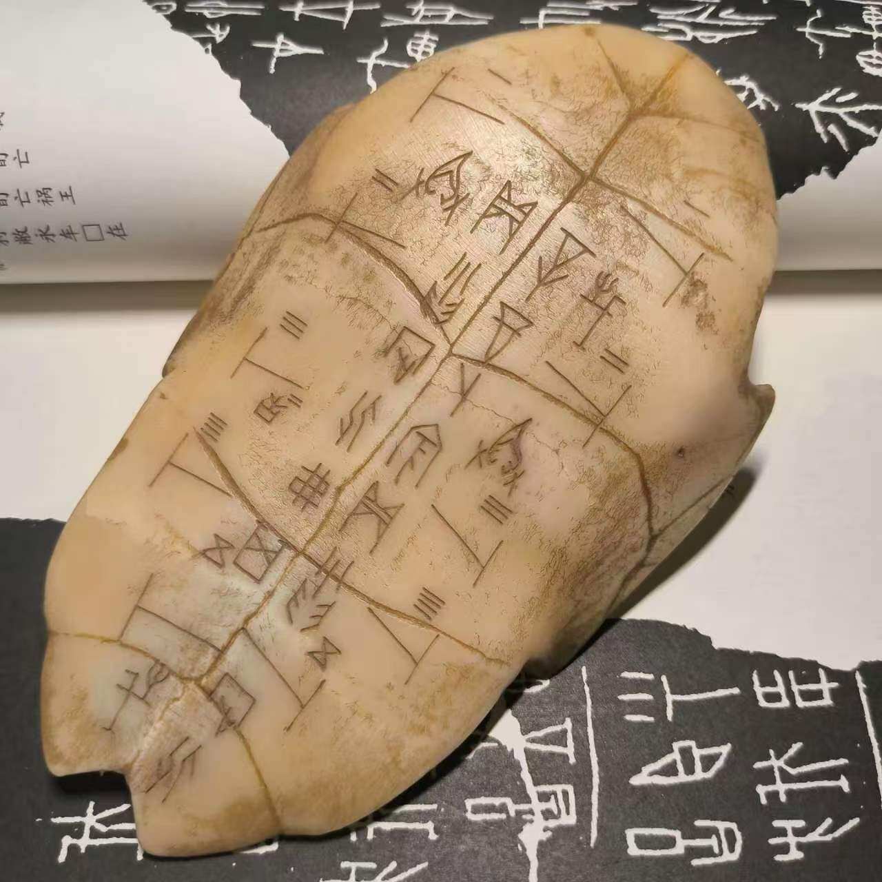 天然龟骨龟甲甲骨文饰品，复古文教用品有何魅力？📚🔍-文创/手作/文化用品-淘宝好物网