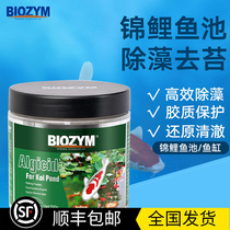Beinmei fish pond algaecide fish tank koi Moss agent does not hurt the fish except Moss Brown green algae powder filter cleaning powder