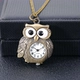 Новая сова (цепочка запчастей), посылающая веревку для кожи