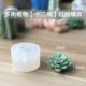 Nến thơm tự làm vật liệu thịt nến nến hương liệu thạch cao khuôn mô phỏng xương rồng bóng thực vật khuôn thịt - Tự làm khuôn nướng khuôn bánh trung thu 50g
