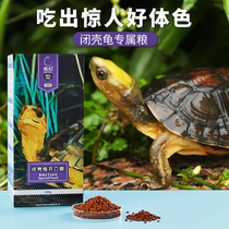 Yucui yellow-edge turtle food small turtle feed young turtle food safety edge high calcium color closed shell turtle semi-water turtle tortoise grain