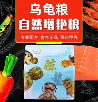 Stingers increase color good jade fungus tortoise grain hair color feed water tortoise half water egg turtle Brazilian grass turtle yellow edge turtle tortoise grain