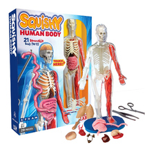 American smartlab explores human physiological structural organ model science STEAM scientific puzzle toy
