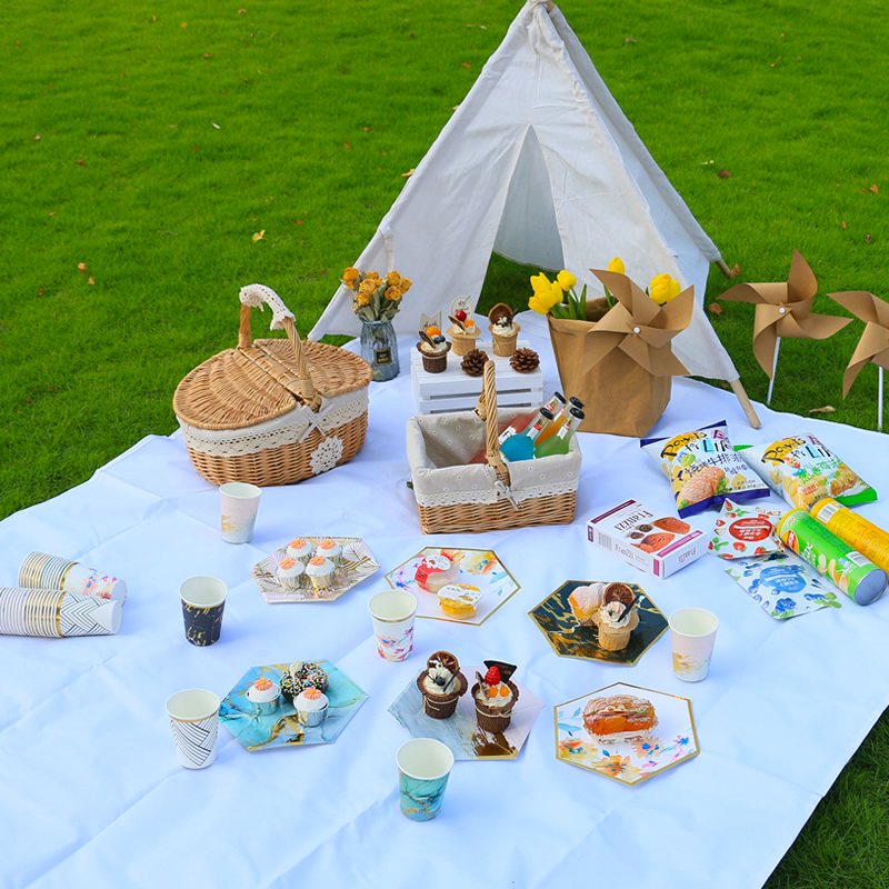 Internet celebrity birthday picnic supplies full set outing pure white thick waterproof Oxford picnic mat ins Nordic style