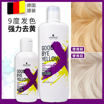 German original Schwarzkor goodbyeyellowGBY after bleaching hair Yellow shampoo dye color protection