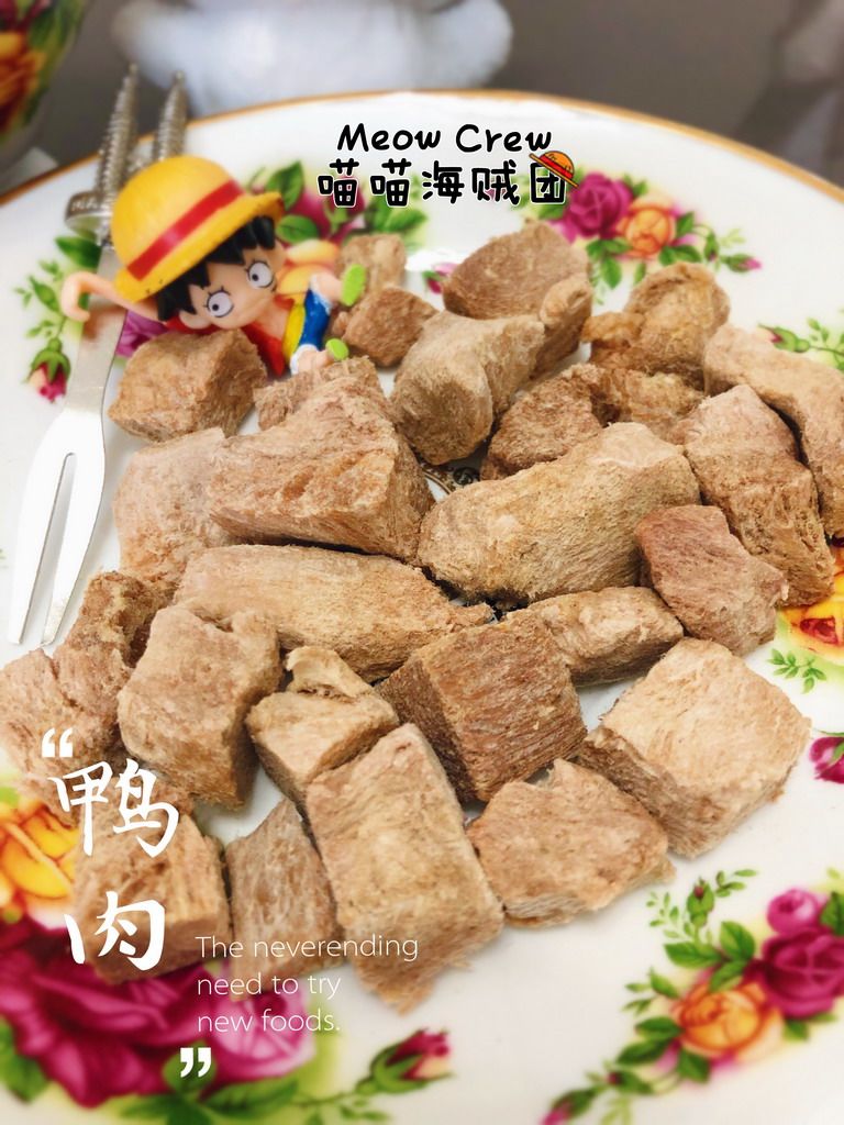 Cat Pooch Pet Snacks Chicken Duck Meat Salmon Chicken Liver Beef Quail Freeze-dried Fatter