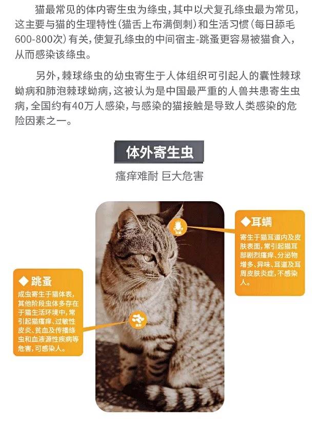 Mèo tẩy giun Haile Miao sử dụng In vivo Tẩy giun 56mg thành Côn trùng tẩy giun - Cat / Dog Medical Supplies 	các loại kim tiêm trong thú y	