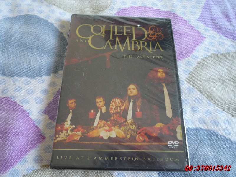 The Last Supporters: Live at the Hammerstein Ballroom Beauty Undemolished DVD