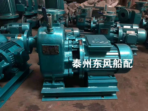 Zhejiang Bayi Pump Industry Eastern Airlines Fire Pump CBZ лодочная лодка самокниция лежащий сердечный насос.