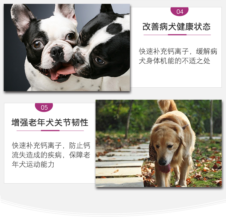 Remy High Strong Liquid Canxi 100ml Dog Cat Pet Bổ sung Canxi Dinh dưỡng Chất lỏng Canxi Gluconate - Cat / Dog Health bổ sung sữa bột cho mèo sơ sinh	