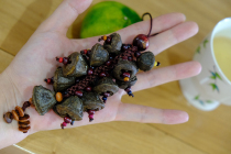 A furnace of incense Qi nourishing God natural big Golden Bell medicine Bodhi car hanging Shunfeng