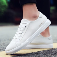 Mùa hè giày trắng phiên bản giày nam 2018 Hàn Quốc phiên bản của triều trắng thấp eo giày vải màu trắng tinh khiết giày của nam giới giày mềm mùa hè giày thể thao nam hà nội