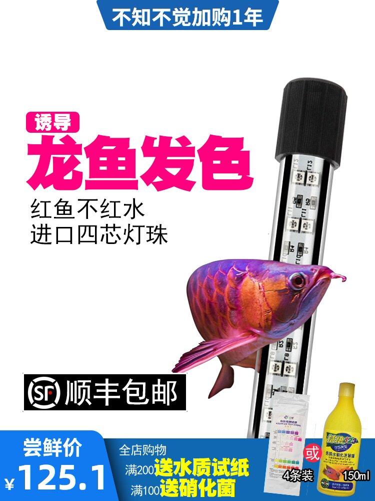 Xiangting Red Dragon special lamp Fish tank waterproof LED three primary colors aquarium diving lighting Energy-saving brightening lamp