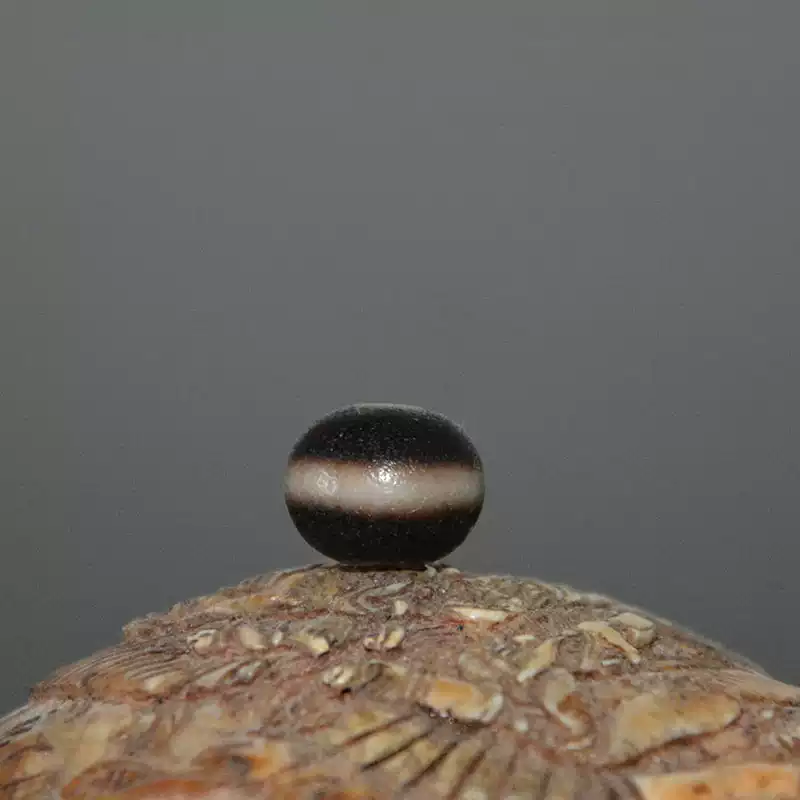 特惠西藏真品三眼财神金钱钩双虎牙莲花天珠朱砂红肉锁骨链吊坠-淘宝