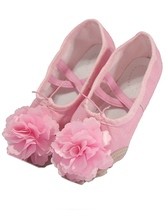 North Dance Solid Floral Boutique Adult Toddler Child Canvas White Red Pink Camel Sky Blue Meaty Red Green Ballet Dancer Shoes