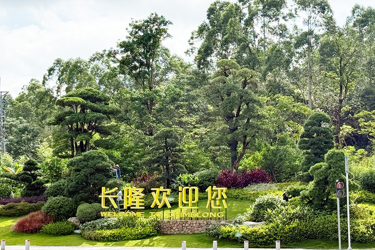 清远长隆森林公园好玩吗?开业这么久了,2026怎么样了?磁悬浮直达吗?方便吗?-3Cgeek,只卖正品 收售工厂呆滞库存尾单 清远长隆森林公园好玩吗?开业这么久了,2026怎么样了?磁悬浮直达吗?方便吗?