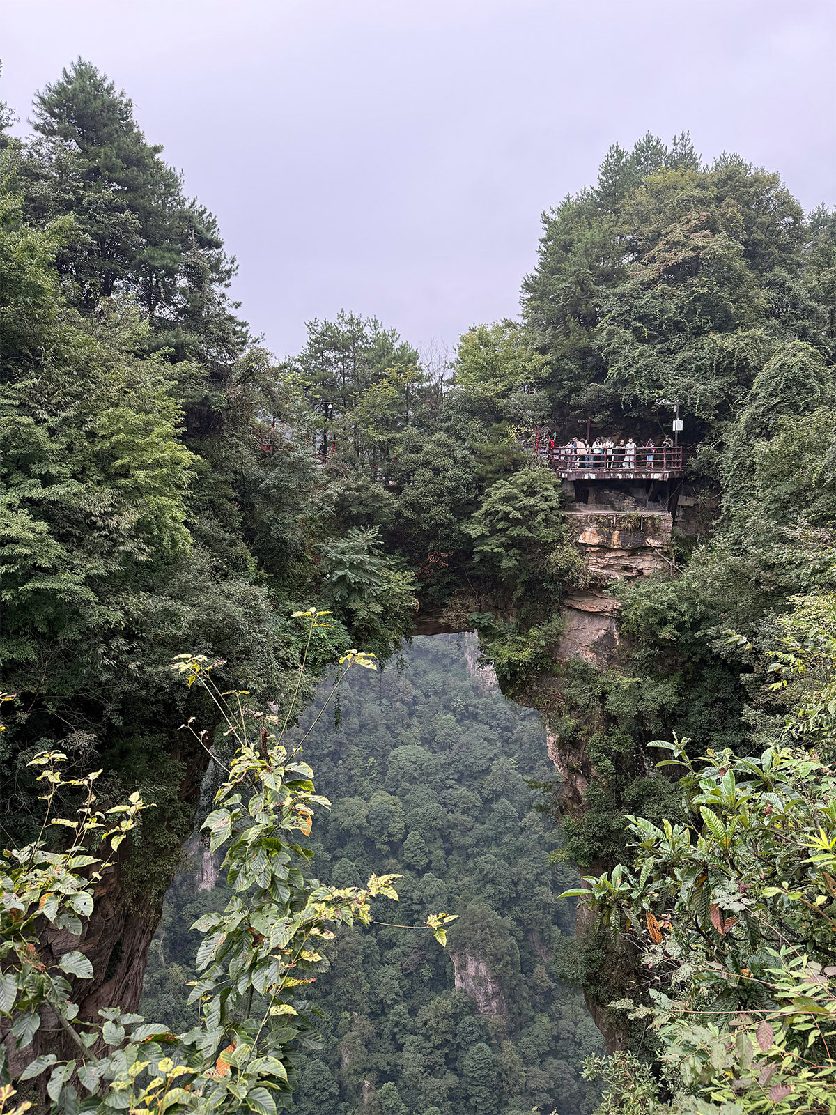 追更|带着父母去旅行 Day 2:张家界天子山雾里看御笔峰,走进阿凡达悬浮山-3Cgeek,只卖正品 收售工厂呆滞库存尾单 追更|带着父母去旅行 Day 2:张家界天子山雾里看御笔峰,走进阿凡达悬浮山
