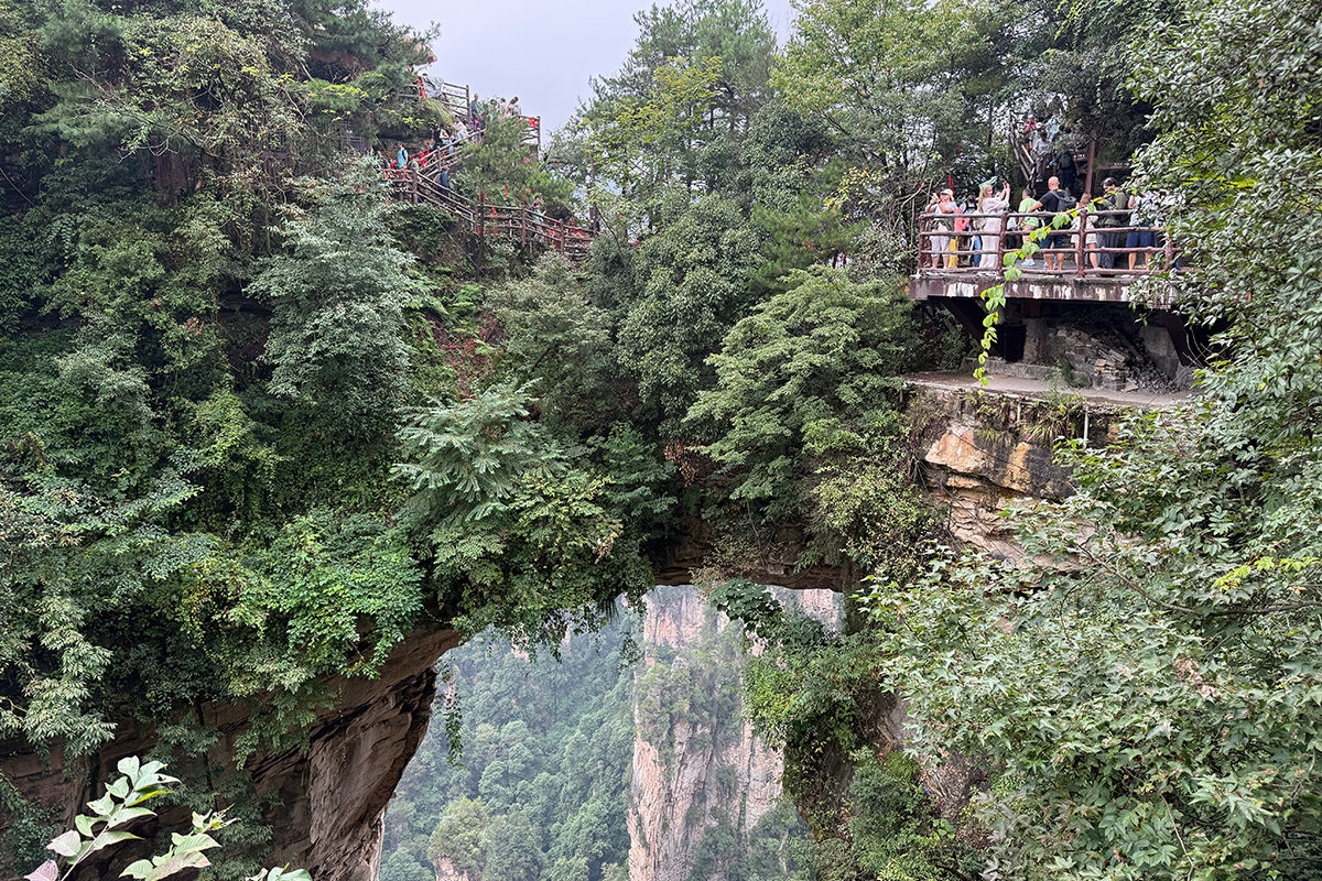 追更|带着父母去旅行 Day 2:张家界天子山雾里看御笔峰,走进阿凡达悬浮山-3Cgeek,只卖正品 收售工厂呆滞库存尾单 追更|带着父母去旅行 Day 2:张家界天子山雾里看御笔峰,走进阿凡达悬浮山