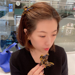 ເກົາຫຼີ Dongdaemun leopard print bangs bangs clip to grab back of head for girls top clip hair accessories versatile hairpins