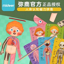 MiDeer Mi Deer Children's Human Cognition Puzzle Baby Magnetic Hanging Board Jigsaw Educational Toy 3-6 Years Old