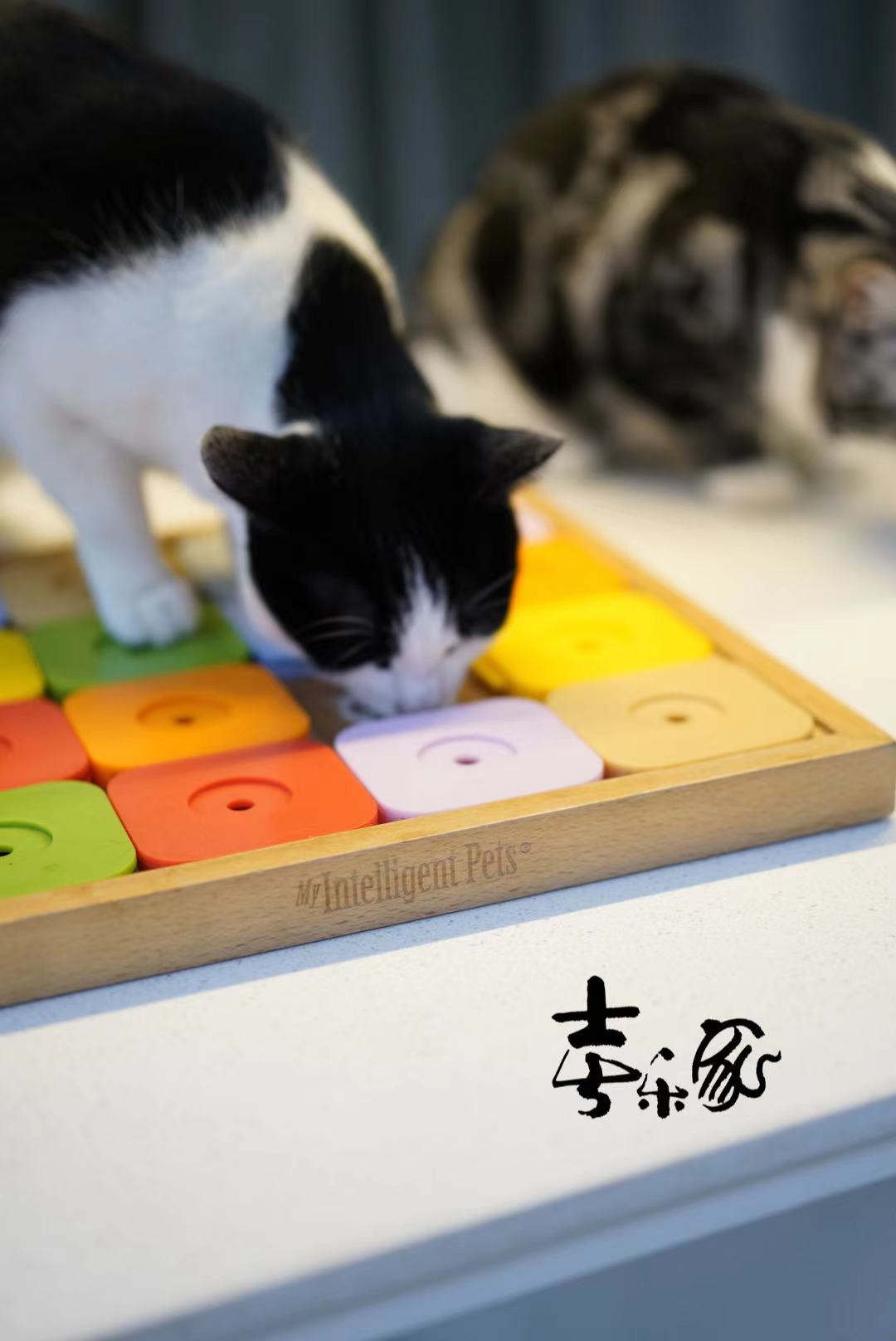 Xilejia high-end educational toys require fur children to have strong hands-on ability and IQ