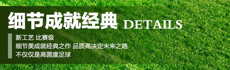 Ballon de football - Ref 6851 Image 10