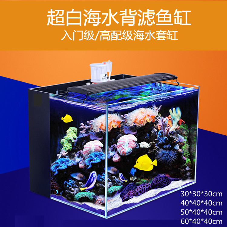 Small Ultra White Back Filter Seawater Fish Tank Book House Reef Rock Ecological Coral Aquarium Living Room Desktop Starter Sea Cylinder