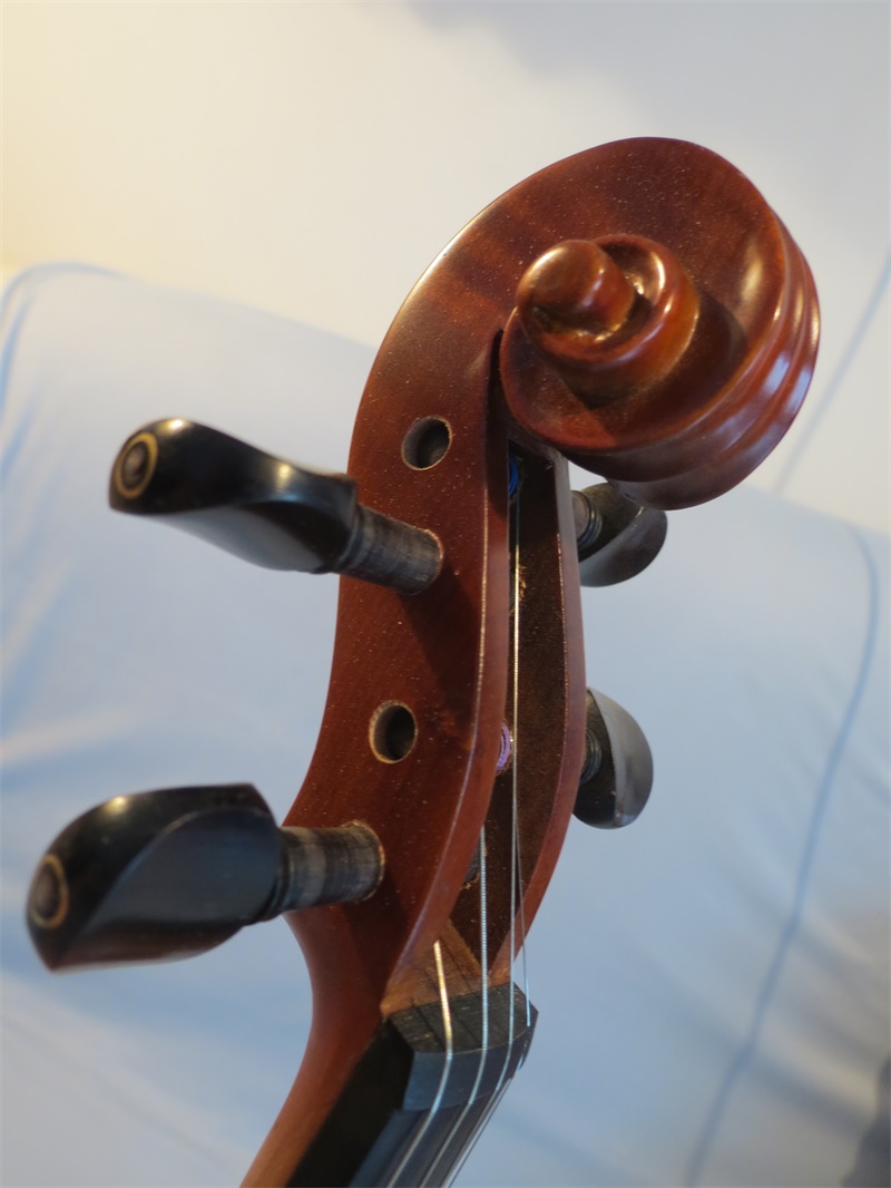 Sirius violin 4/4, mặt sau dát vỏ thủ công hoàn hảo, Hãy tưởng tượng sản xuất nhạc cụ - Nhạc cụ phương Tây guitar điện