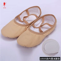 Верблюд [сокращение землетрясения] 10505