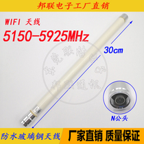 5G5 8G Outdoor Outdoor Waterproof Antenna Omnidirectional FRP Antenna N Head White 5 9G Gain 8DB Antenna