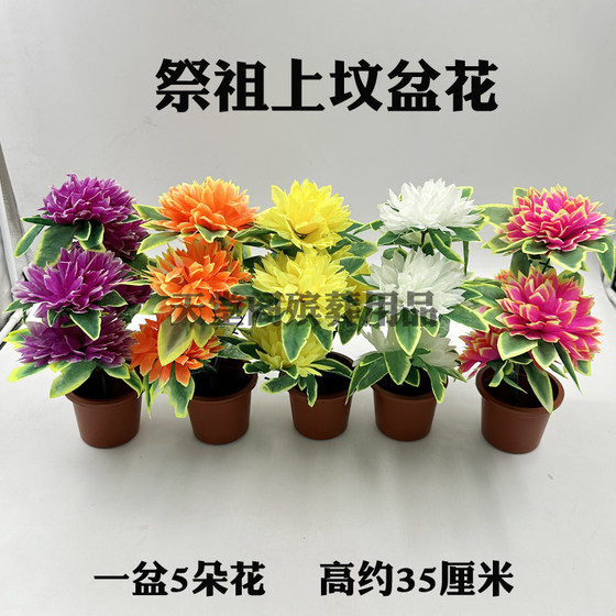 Sacrificial potted flower peony flower bonsai graveside flower tombstone decoration flower Qingming grave flower funeral memorial service