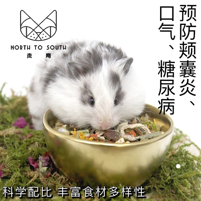 Hamster bear food Go south high fiber high protein Golden silk bear self-catering food Synthetic food Natural food Food feed