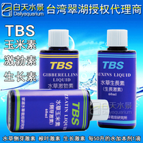 TBS Cuihu auxin zeatin cyperin water grass liquid fertilizer water grass fertilizer nutrient root leaf lateral bud