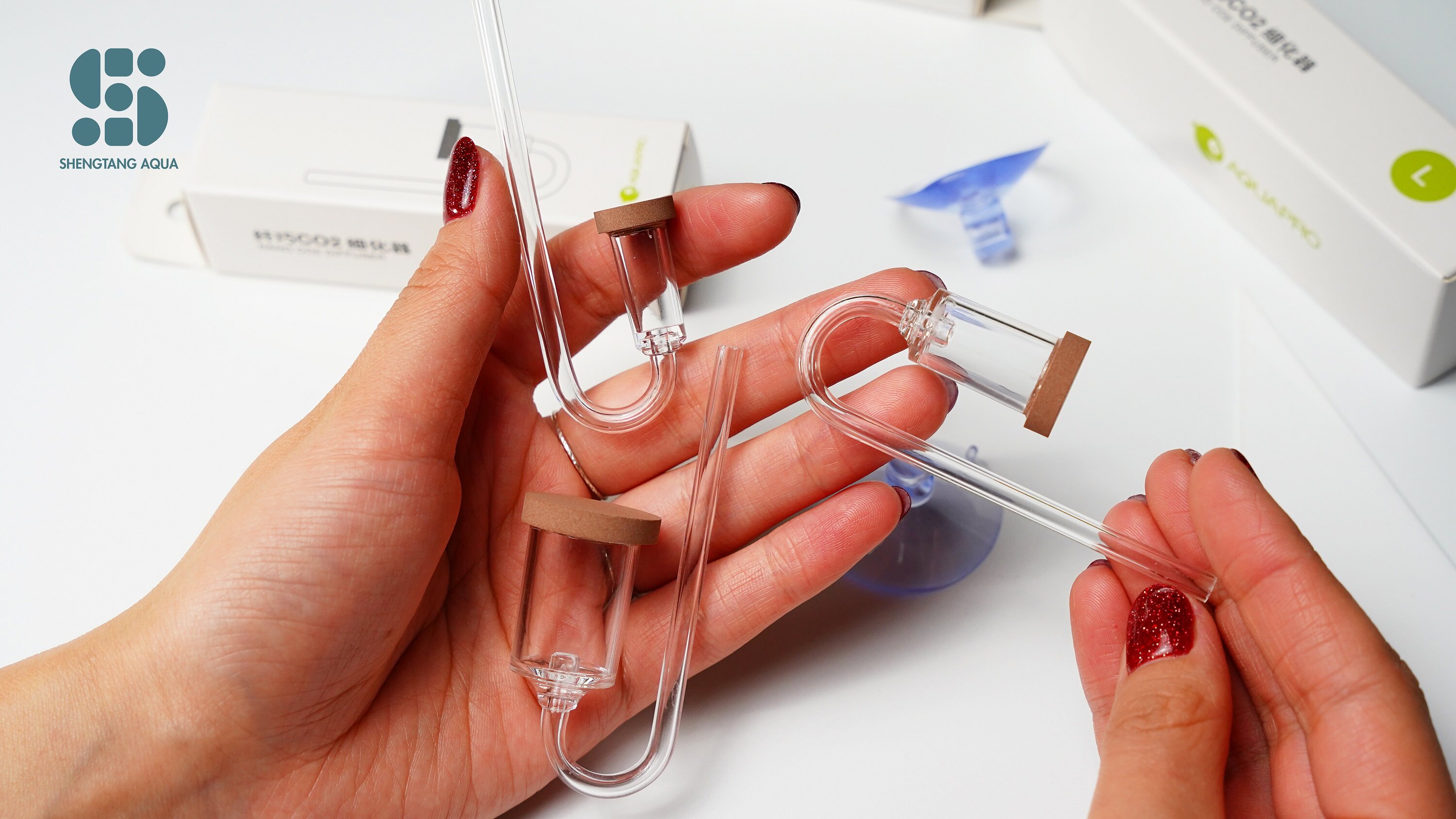 Carbon Dioxide Refiner Envy Fish Ciliary CO2 Refiner Korea TWINSTSAR The Same Carbon Dioxide Steel Bottle