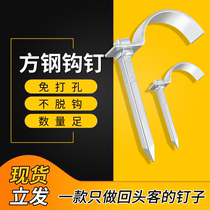 4 points ppr water pipe Hook nail Hook nail fixed nail pipe code 20PVC pipe buckle code nail U type cement steel nail wire pipe card