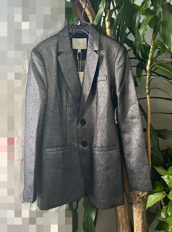 Silver Gray Shiny Suit Blazer Aa