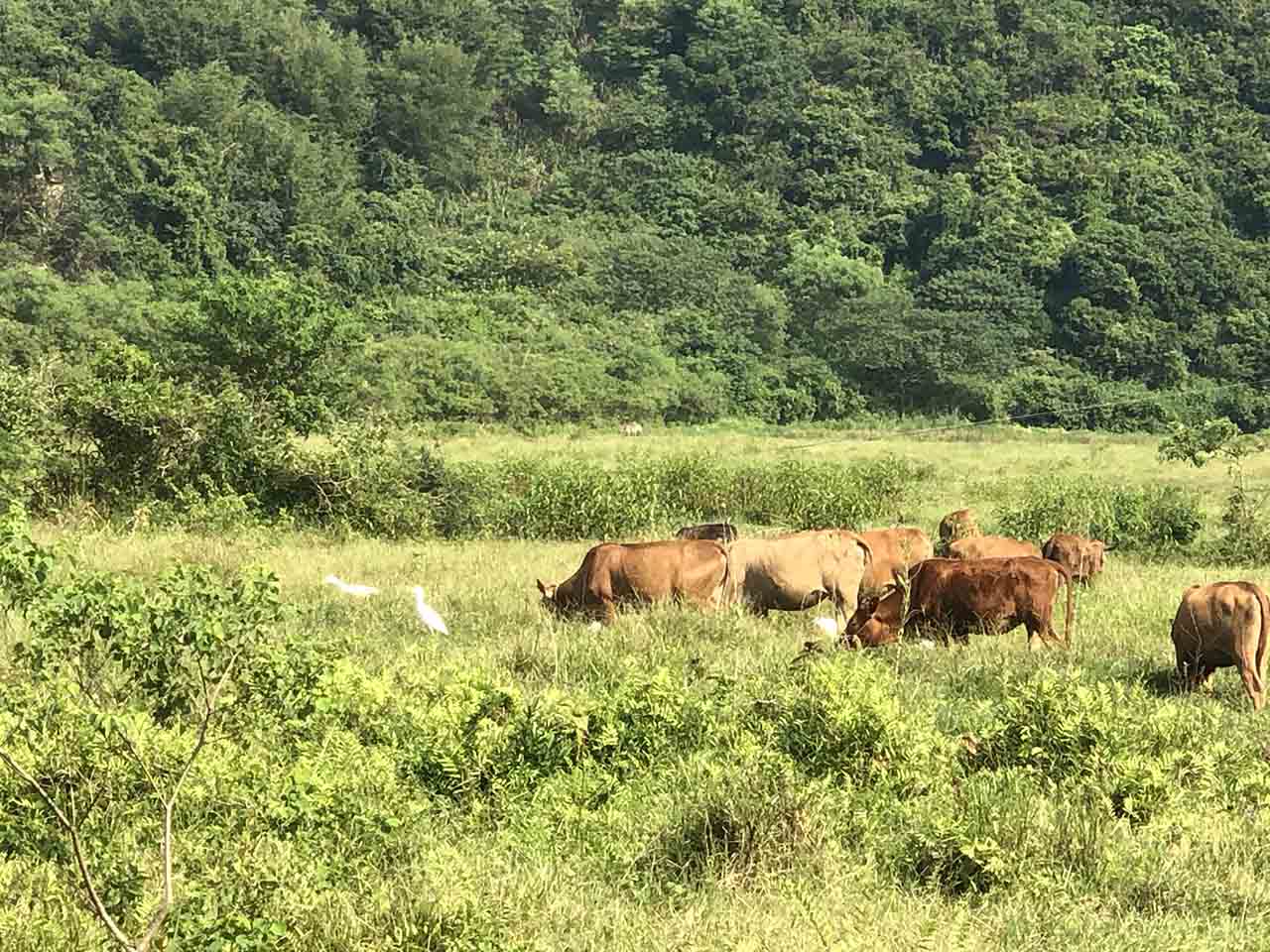 暑假回乡探亲记 第一天 衡阳南岳衡山老观音庙 邵阳北正街古城墙