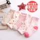Vớ cho bé gái Cotton bé gái Mùa thu và mùa đông Vớ dày 1-3-5-7-9 Năm Cô bé Terry Vớ cotton vớ chống trượt cho bé