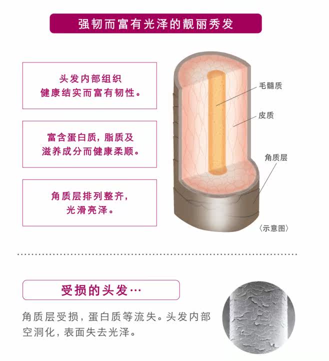 日本kanebo Lissage Vogne Hair Change Treatment頭皮控油護髮素