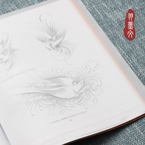 A4 transparent sulphuric acid paper English Calligraphy Flowers Body New Hand Students 85g No ink Painting Painting Exercise Paper 10 sheets