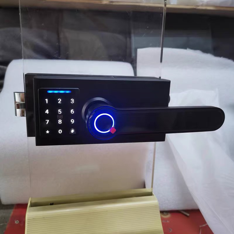 Office High Partition Glass Door Partition Fingerprint Lock Black and White Lock Panda Lock Password Replaceable Out of the Hole Welfare