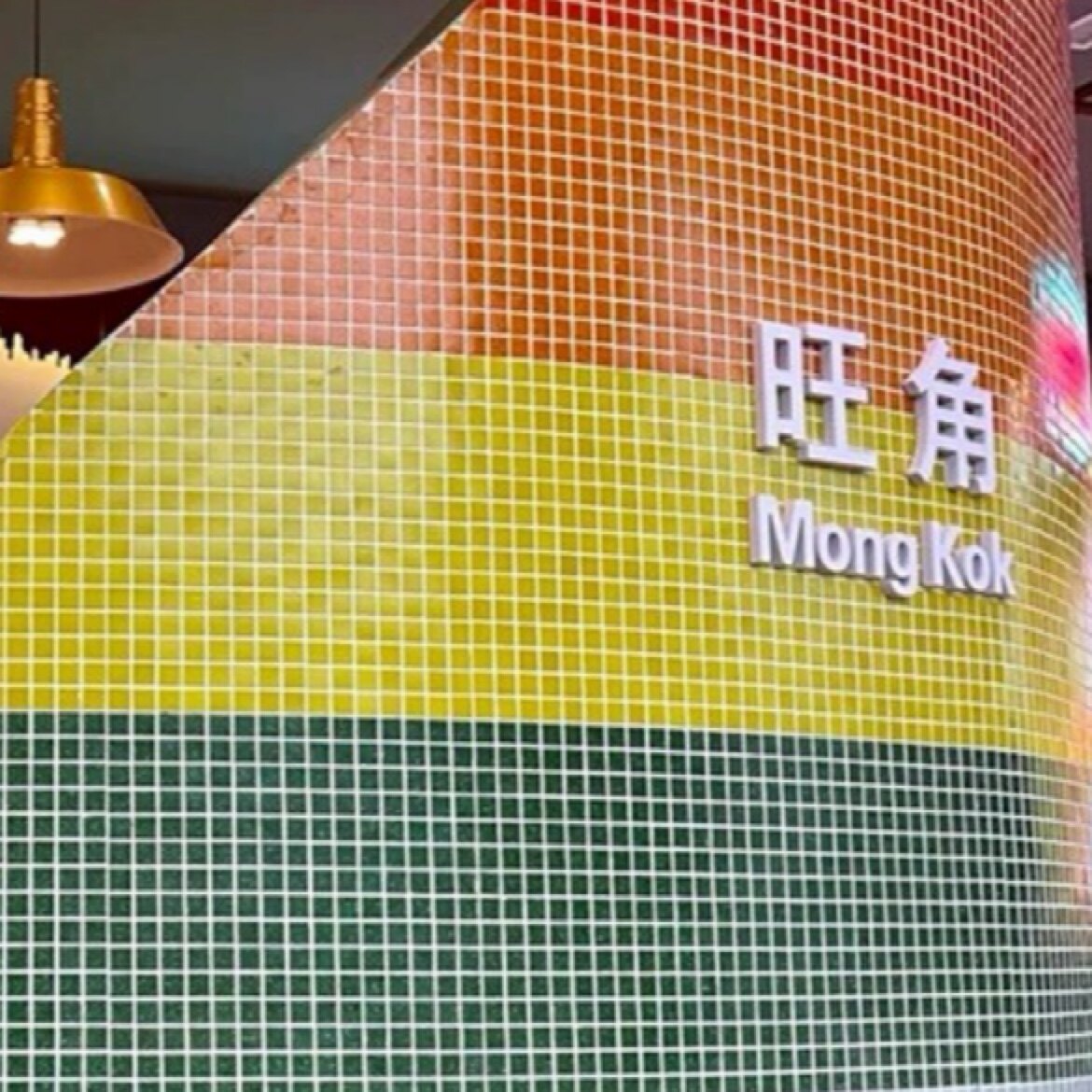 YOUYOUCAO建材的LOGO