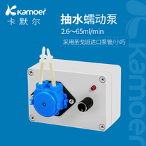 Peristaltic pump automatic mini self-priming pump household small circulating pump micro small water pump 24V household pump