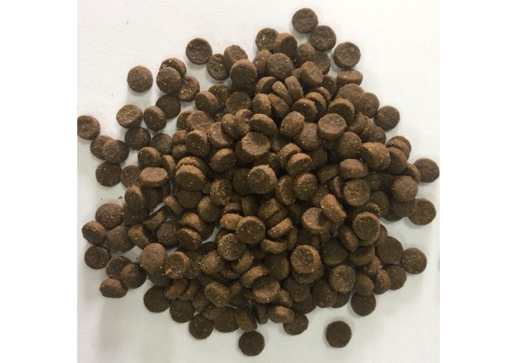 Vchap-Stubborn giá đầy đủ không có thức ăn cho mèo hạt 1,2kg - Cat Staples Review các loại hạt cho mèo